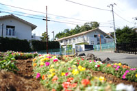 正門前のお花畑より